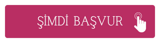 Pink Modern Button.png (12 KB)