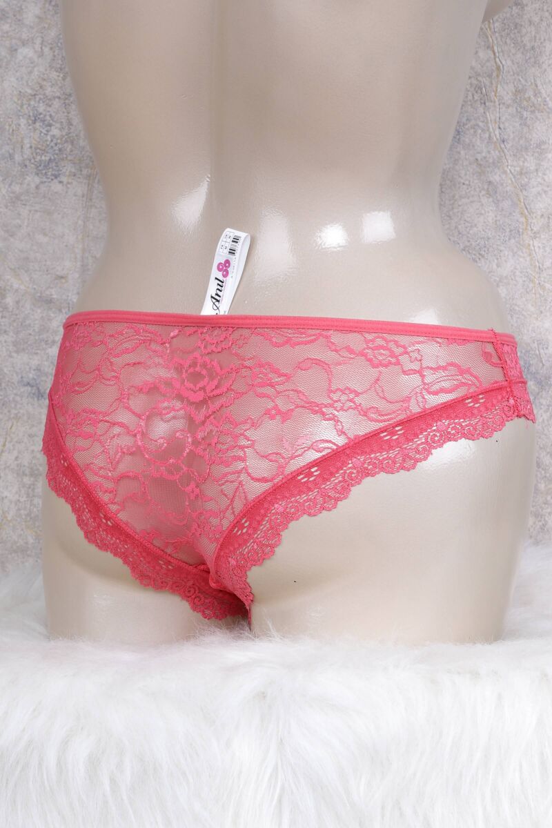 Kadın Dantelli Slip (2723) - 2