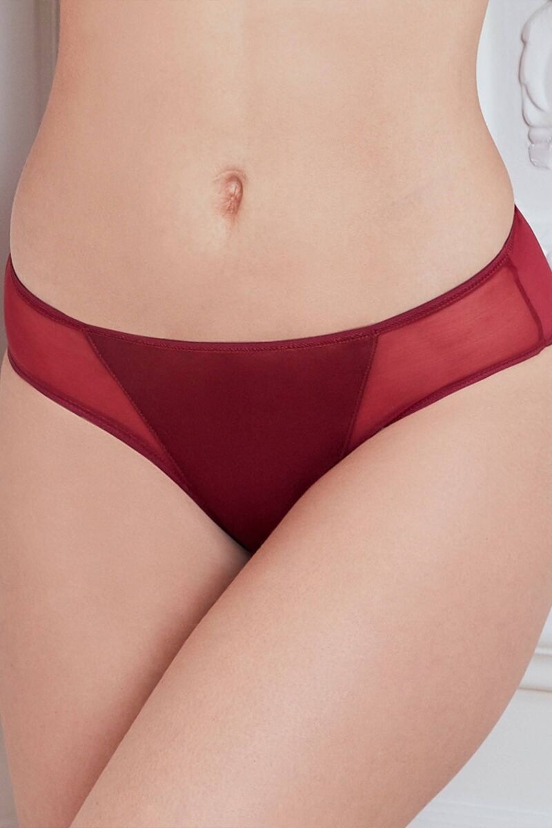 Kadın Mikro Kumaş Tüllü Slip (2778) - 1