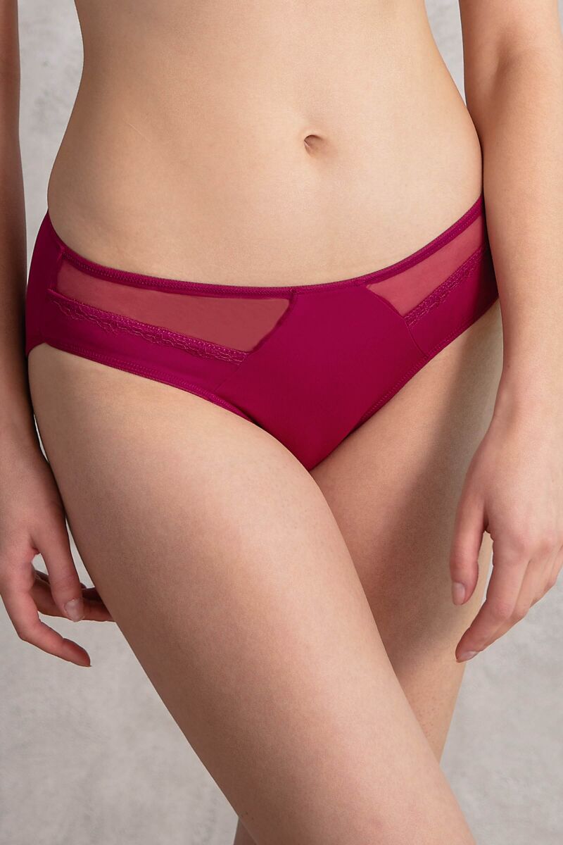 Kadın Mikro Kumaş Tüllü Slip (2779) - 1