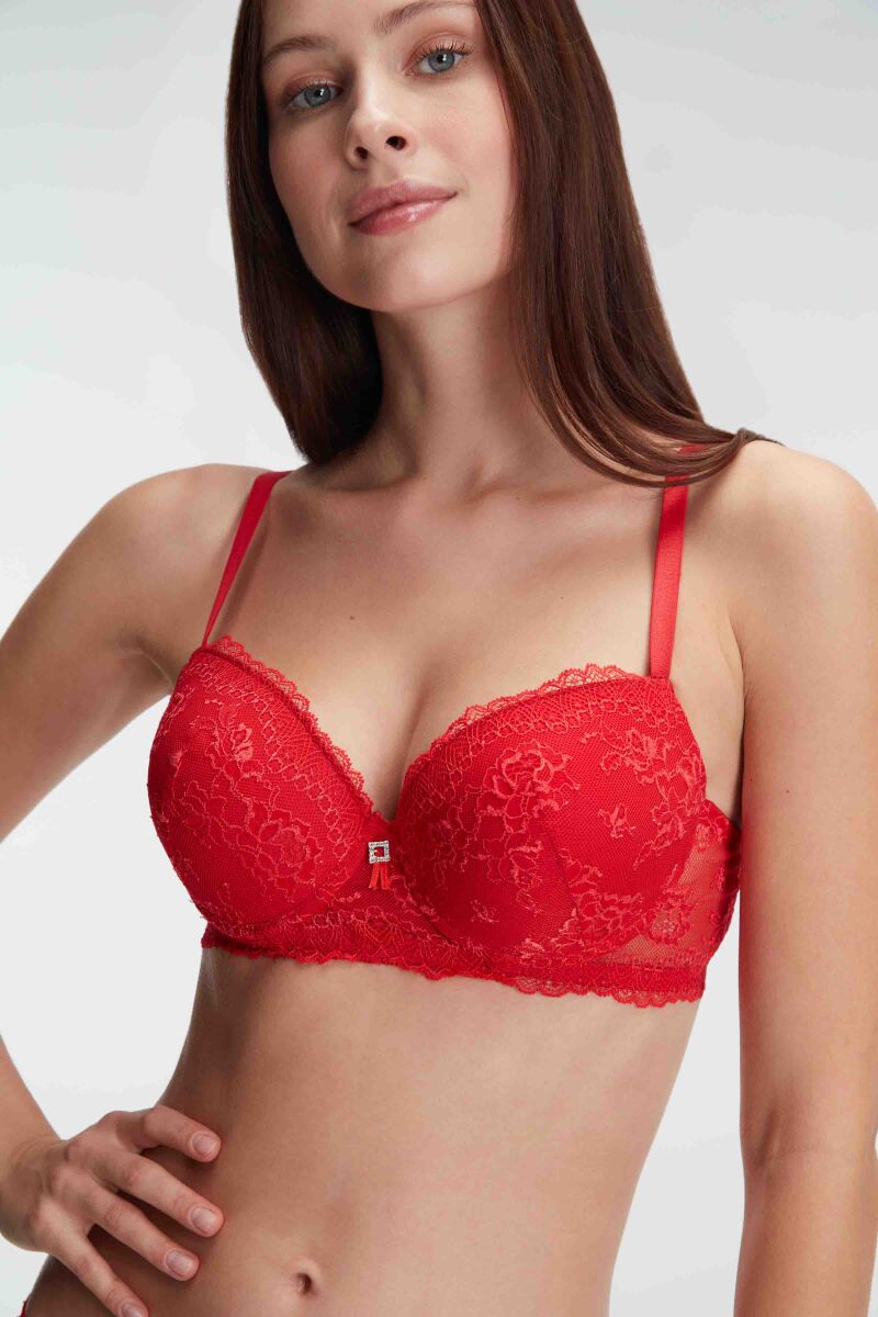 Anıl 4836 Çiçek Desenli Destekli Balenli Kaplı Dantel Detaylı Sütyen Slip İç Çamaşırı Takımları - 3