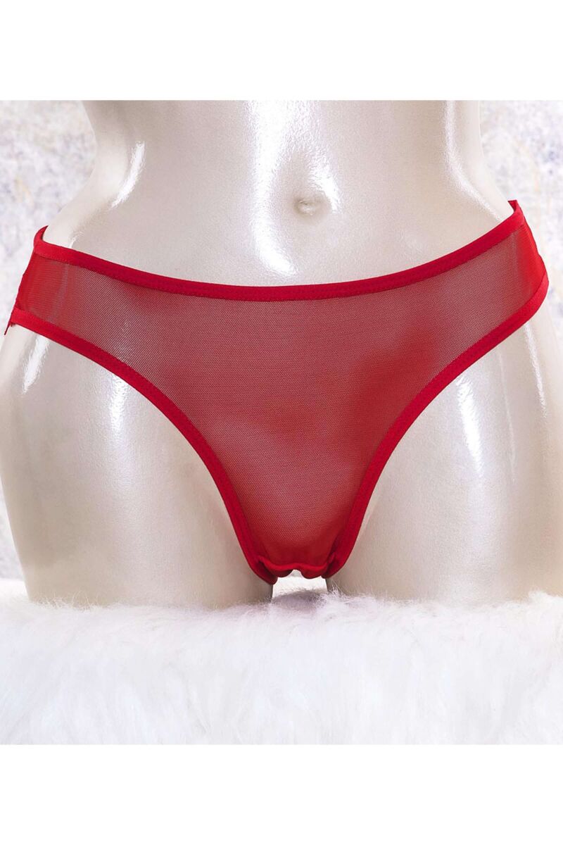 Kadın Tüllü Dantelli Slip (2791) - 1
