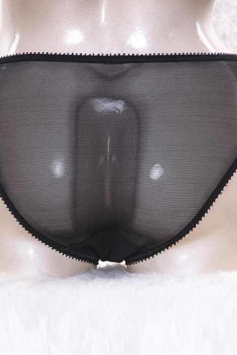 Kadın Tüllü Dantelli Slip (2802) - 2